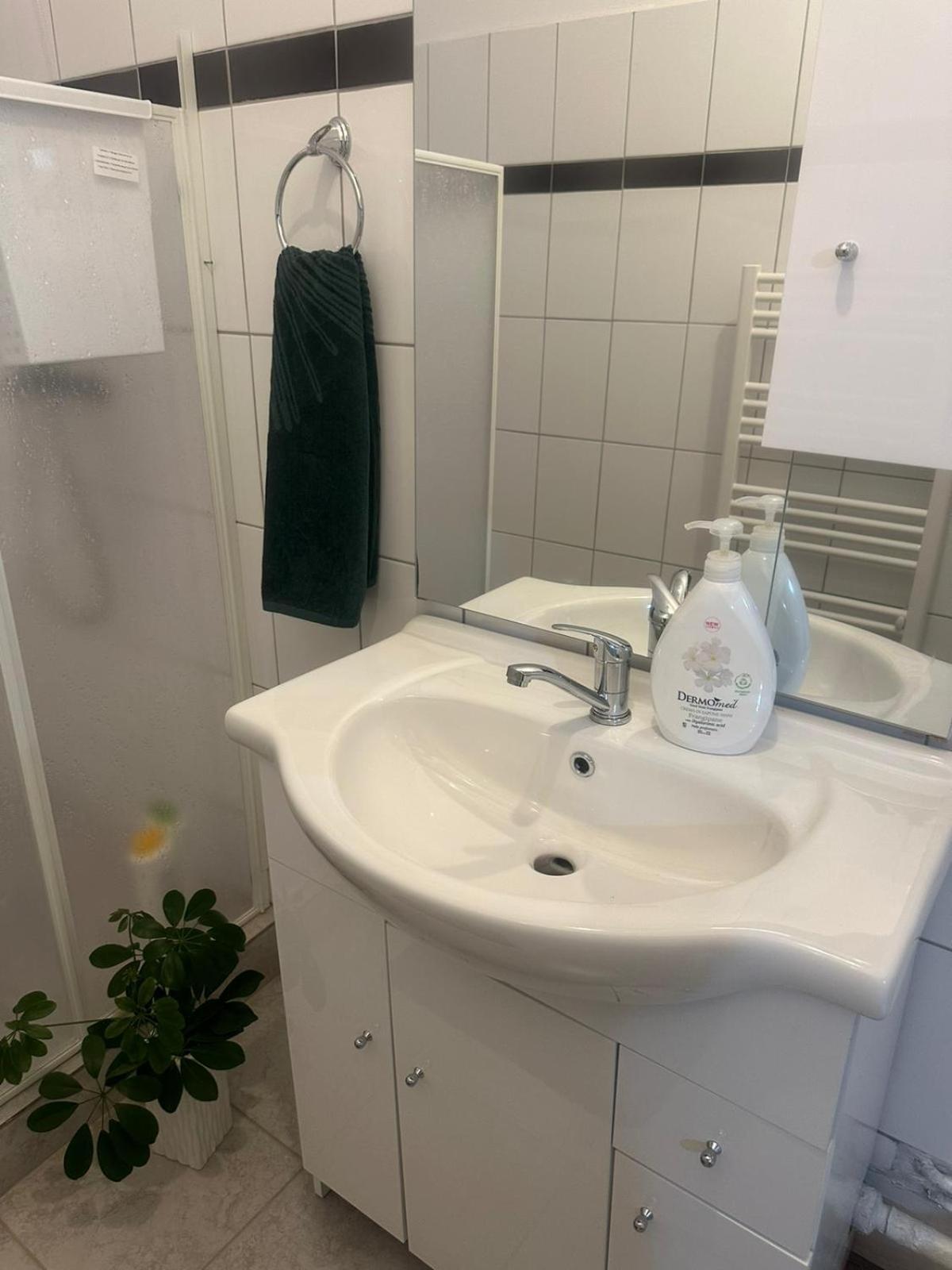 Apartament La Ilie Daire Ocna Sibiului Dış mekan fotoğraf