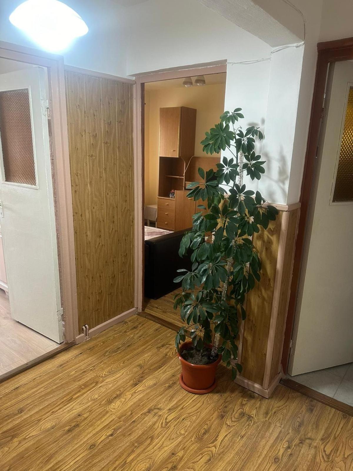 Apartament La Ilie Daire Ocna Sibiului Dış mekan fotoğraf