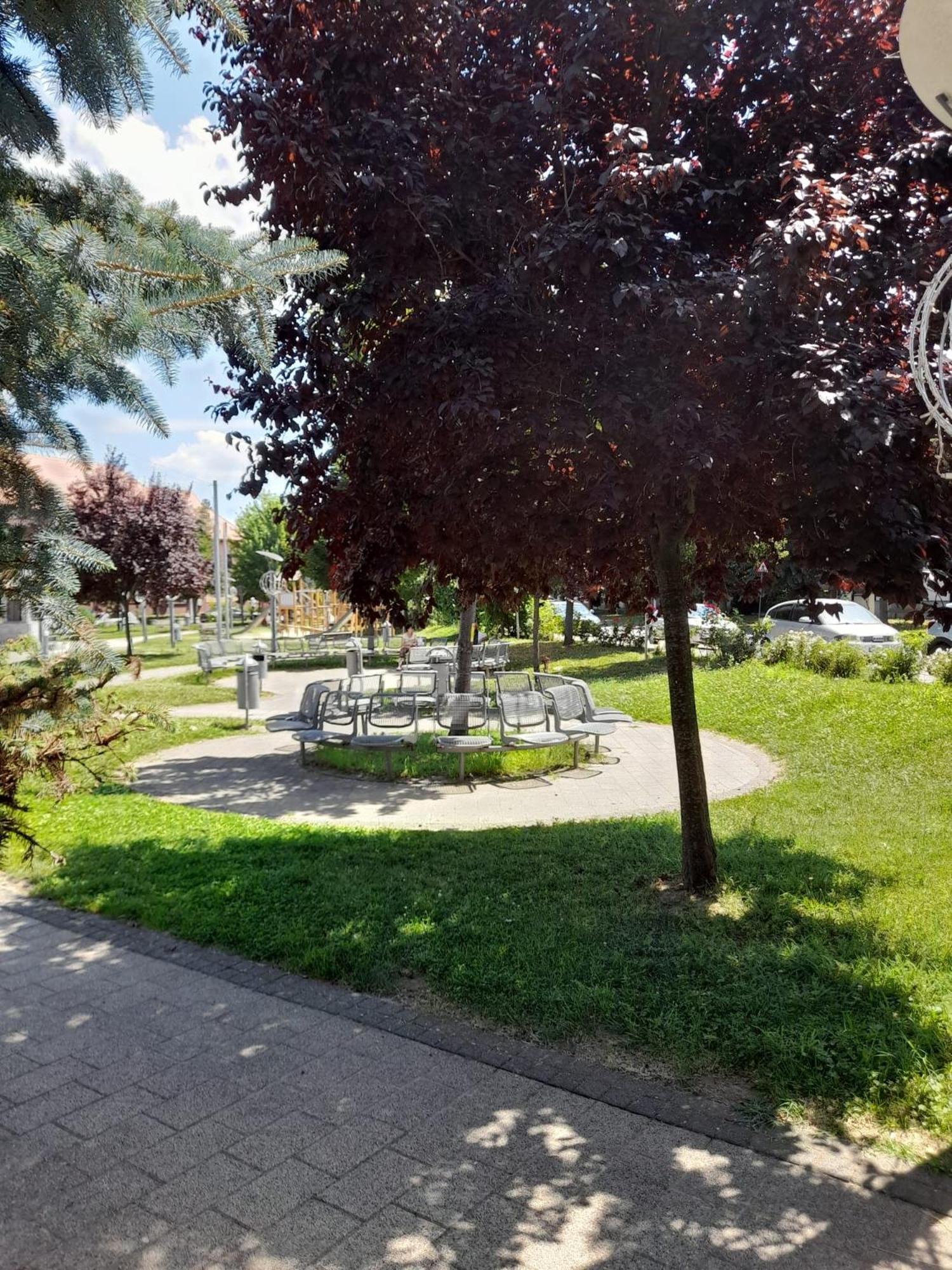 Apartament La Ilie Daire Ocna Sibiului Dış mekan fotoğraf